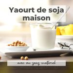 Yaourt de soja maison – Végétalise-toi !