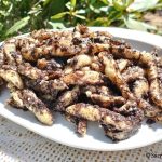 Nouilles au pavot autrichiennes – Mohn-Schupfnudeln