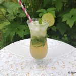 Mojito – Recette en vidéo